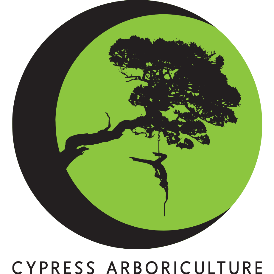 Cypress Aboriculture