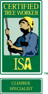 ISA Certified Tree Climber